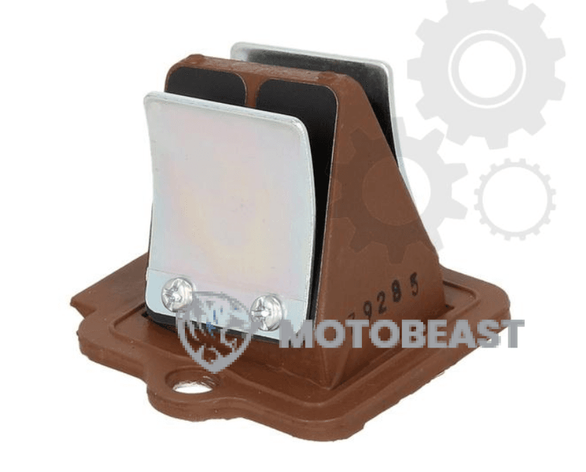Variklio Membrana 2T Piaggio 50 KARBONINE RMS