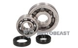 Alkūninio veleno guoliai + alyvos sandarikliai Piaggio 50/100cc 4-taktis 2V/3V/4V ​​po 2003 Piaggio / Aprilia / Vespa
