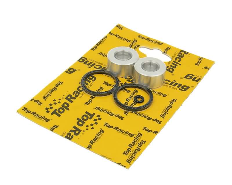 Stabdžių supporto / cilindriuko rem. komplektas 25x13mm AJP galiniam diskiniam stabdžiui