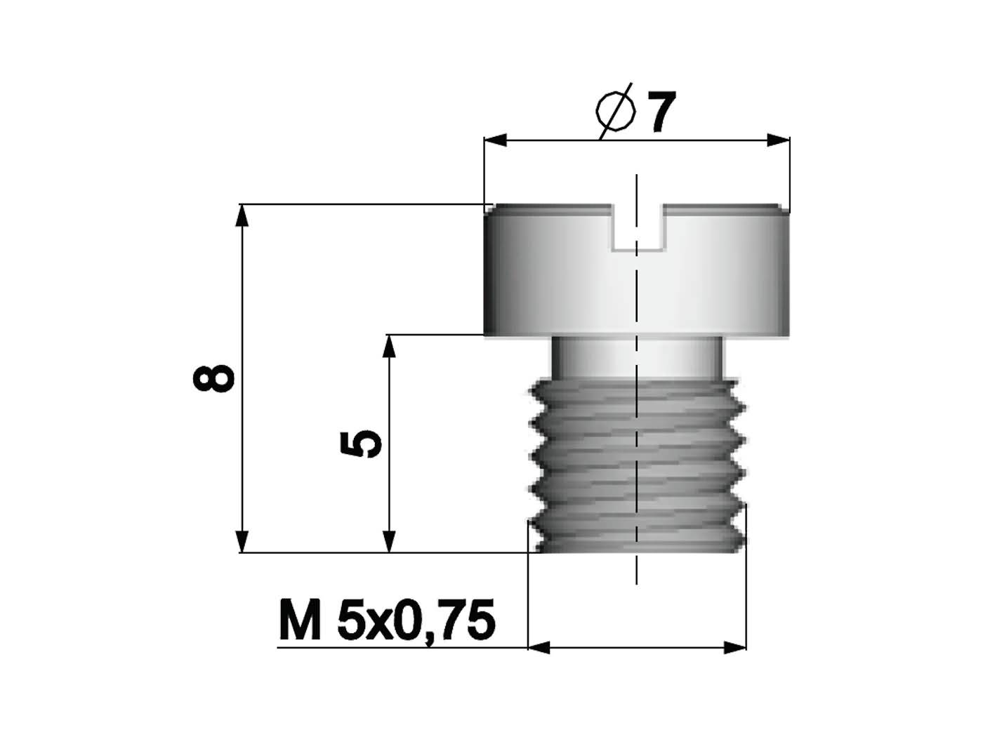 Main žikleris Polini 5mm Dellorto karbiuratoriui - 120